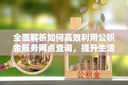 金溪全面解析如何高效利用公积金服务网点查询，提升生活便利性