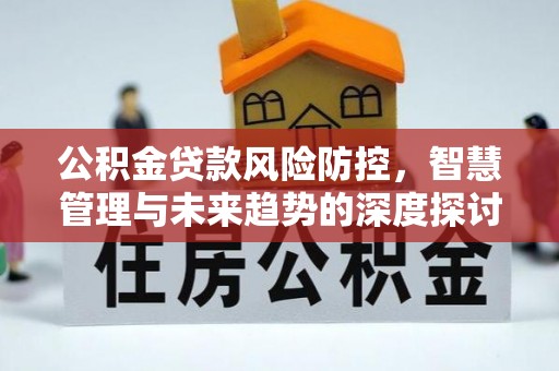 金溪公积金贷款风险防控，智慧管理与未来趋势的深度探讨
