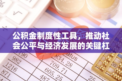 金溪公积金制度性工具，推动社会公平与经济发展的关键杠杆