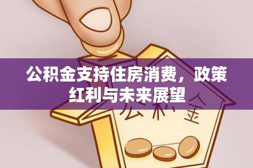 金溪公积金支持住房消费，政策红利与未来展望