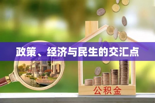 金溪政策、经济与民生的交汇点