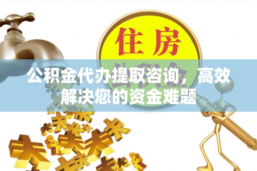 金溪公积金代办提取咨询，高效解决您的资金难题