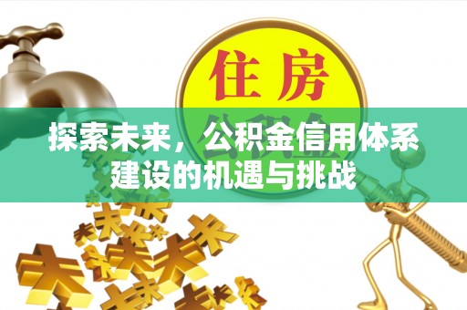 金溪探索未来，公积金信用体系建设的机遇与挑战