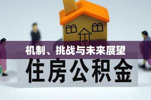 金溪机制、挑战与未来展望