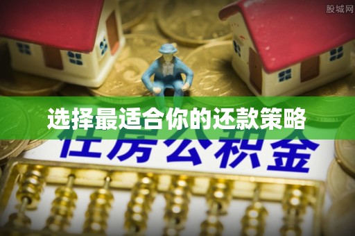 金溪选择最适合你的还款策略
