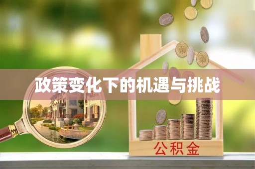 金溪政策变化下的机遇与挑战