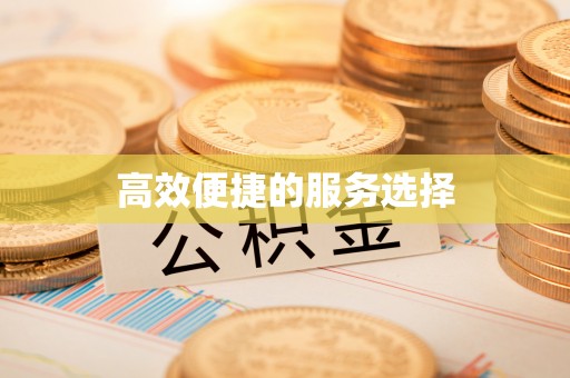金溪高效便捷的服务选择