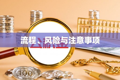 金溪流程、风险与注意事项