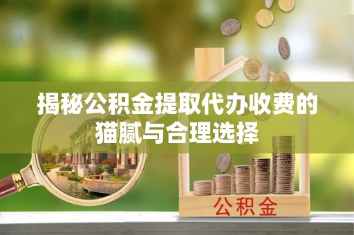 金溪揭秘公积金提取代办收费的猫腻与合理选择