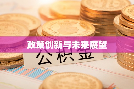 金溪政策创新与未来展望