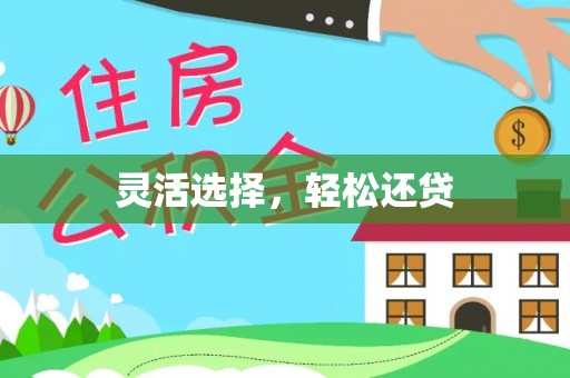 金溪灵活选择，轻松还贷