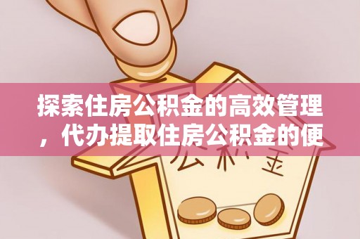 金溪探索住房公积金的高效管理，代办提取住房公积金的便利与注意事项