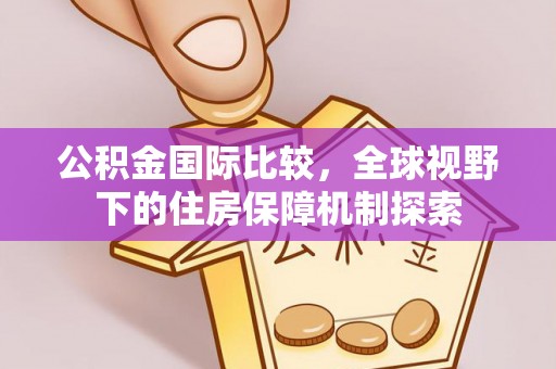 金溪公积金国际比较，全球视野下的住房保障机制探索
