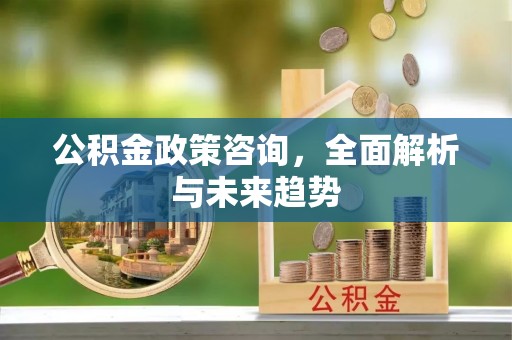 金溪公积金政策咨询，全面解析与未来趋势
