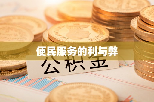 金溪便民服务的利与弊